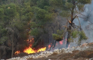 إطفائية بلدية نابلس تخمد حريقًا هائلًا جنوب غرب المدينة