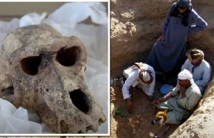 العثور على مقبرة مصرية "الأولى من نوعها في العالم"