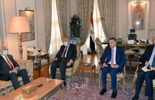"شكري" يبحث مع نائب رئيس الوزراء الفلسطيني "أبو عمرو" تطورات القضية العربية