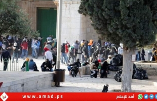 إعلام عبري: تحذيرات من حدوث تصعيد في المسجد الأقصى