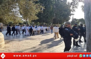 إدانة عربية لاقتحام بن غفير وعصابته المسجد الأقصى: عمل غير مسؤول