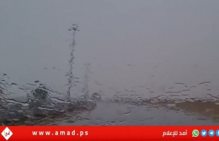 مناطق في الإمارات تُسجّل في يوم واحد ما يوازي أمطار الأردن لثلاثة شهور - فيديو