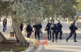 شرطة الاحتلال تعرقل وصول المصلين لصلاة الجمعة في "الأقصى"