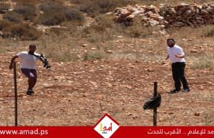 مستوطنون يداهمون خيام مواطن في الفارسية