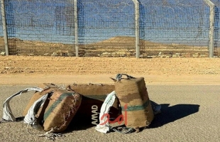 قوات أمنية إسرائيلية تحبط عملية تهريب مخدرات كبيرة على الحدود المصرية
