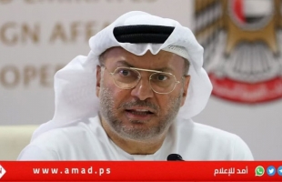 قرقاش: الأمن لإسرائيل إلى جانب دولة فلسطينية..والتطبيع منح الإمارات نفوذا