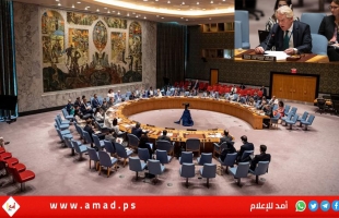 خلال جلسة مجلس الأمن.. وينسلاند في إحاطته: ما رأيته في غزة كان "صادما ومروعا"