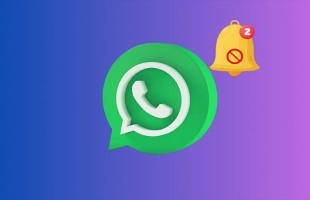ميزة جديدة فى واتساب تنهى فوضى رسائل الشركات نهائيًا