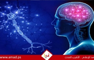 الزهايمر.. علامات مبكرة تتطلب الفحص