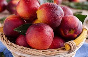 الفوائد الصحية لتناول فاكهة الخوخ