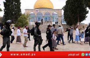 مستوطنون إرهابيون يقتحمون ساحات "المسجد الأقصى"