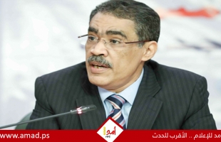 مصر: ضياء رشوان ينفي إجراء انتخابات رئاسية مبكرة