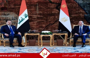 السيسي يؤكد دعم مصر للعراق والاستعداد لتوقيع اتفاقيات ضخمة- صور