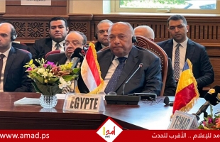 وزير خارجية مصر يحذر إسرائيل من اجتياح رفح ويطالب باتخاذ إجراءات رادعة