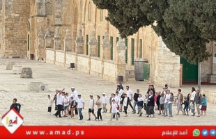 القدس: عشرات المستوطنين الإرهابيين يقتحمون ساحات "الأقصى"