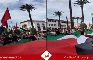 مظاهرة حاشدة في المغرب تضامناً مع غزة- فيديو