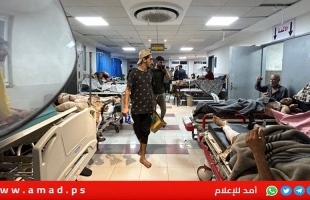 مدير مجمع الشفاء: الجرحى في غزة على حافة كارثة صحية