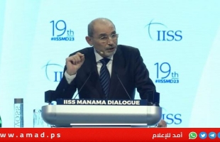 الصفدي: "لن نرسل قوات عربية إلى غزة..ولا أفهم كيف ستقضي إسرائيل على حماس"