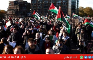 مظاهرات حاشدة في مختلف الساحات العربية والدولية لدعم الشعب الفلسطيني- فيديو وصور