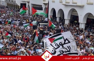 مسيرة ضخمة مؤيدة لفلسطين في الرباط - صور