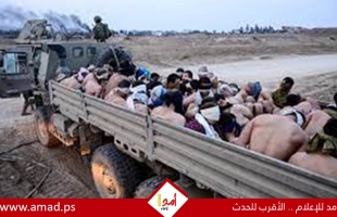جيش الاحتلال يحاصر مدينة حمد جنوب قطاع غزة ويعتقل ويعذّب عشرات المواطنين