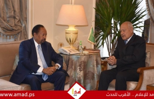 أبو الغيط: ايقاف الحرب والحفاظ على وحدة أراضي الدولة السودانية اولويات للجامعة العربية