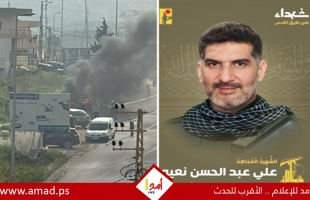 جيش الاحتلال: اغتيال نائب قائد الوحدة الصاروخية في حزب الله علي نعيم