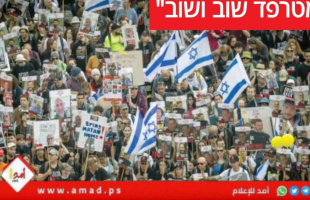 مظاهرة ضخمة لعائلات الرهائن في "تل أبيب" للمطالبة بعقد صفقة تبادل مع غزة- فيديو