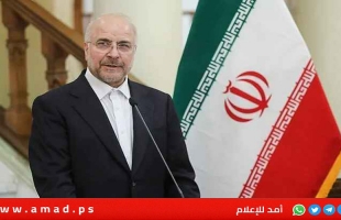رئيس الشورى الإيراني: استشهاد قادة حزب الله كان أشد علينا من سقوط الأسد
