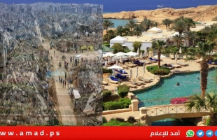 مفاجأة..ديرمر والمبعوثان الأمريكيان يغيبون عن مفاوضات حرب غزة في شرم الشيخ