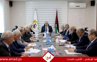 تنفيذية منظمة التحرير تبحث جهود وقف العدوان وتناقش خارطة طريق لانتخابات المجلس الوطني