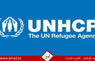 مفوضية الأمم المتحدة لشؤون اللاجئين تسرح المزيد من الموظفين