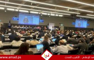 العمل الدولية تجدد دعمها لفلسطين وترفض محاولات المساس بصفة عضويتها