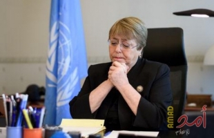 مفوضة الأمم المتحدة لحقوق الإنسان: بيلاروسا تشهد أزمة غير مسبوقة