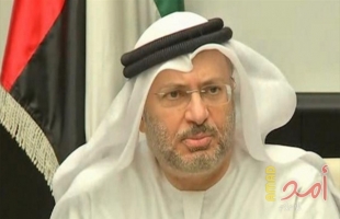 قرقاش: الإمارات مقبلة على مرحلة مهمة في تطورها وطموحها