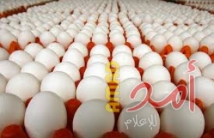 ضبط كمية من البيض المهرب في بيت لحم