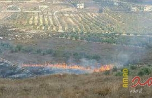 مستوطنون يضرمون النار بمحاصيل زراعية ويمنعون المواطنين من إخمادها شرق يطا