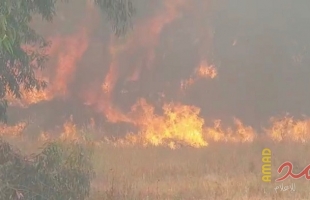 بالفيديو.. ارتفاع عدد الحرائق داخل السياج الفاصل شرق القطاع إلى (10)