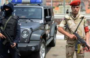 الجيش المصري يسقط "ملك الحشيش"