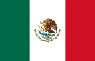 المكسيك.. مقتل 35 شخصاً في حرب عصابات المخدرات