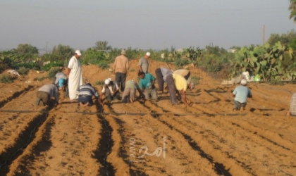 زراعة حماس تدعو المزارعين لأخذ الاحتياطات اللازمة