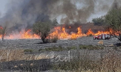 اندلاع النيران في "أشكول وكيسوفيم" بفعل بالونات حارقة أطلقت من غزة