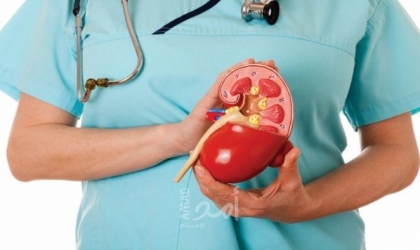 لمرضى الكلى .. أطعمة ومشروبات صحية للتخلص من السموم