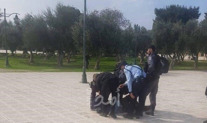 اعتقال عضو الكنيست "يهودا اغليك" في ساحات "المسجد الأقصى" بعد محاولته سرقة حمار