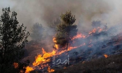 اندلاع حرائق في "فجة وأشكول" بفعل بالونات حارقة أطلقت من غزة