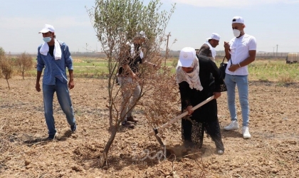 غزة: الإغاثة الزراعية تطلق حملة "ايد بإيد بندعم صمودنا وبنعزز وجودنا"