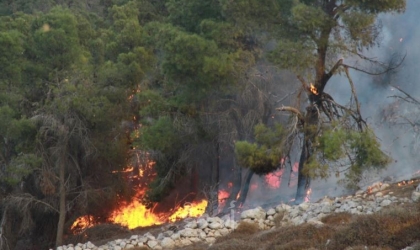 إطفائية بلدية نابلس تخمد حريقًا هائلًا جنوب غرب المدينة