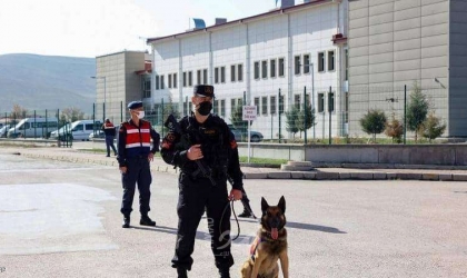 مقتل (7) أفراد من عائلة كردية واحدة برصاص مسلحين في تركيا