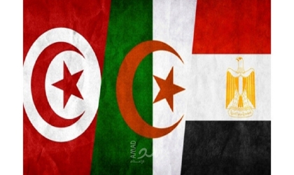 توافق مصري جزائري "نحو الدعم الكامل" للرئيس التونسي