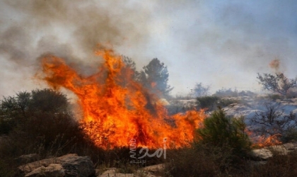 البوسنة: مصرع ستة أشخاص وإصابة آخرين في حريق
